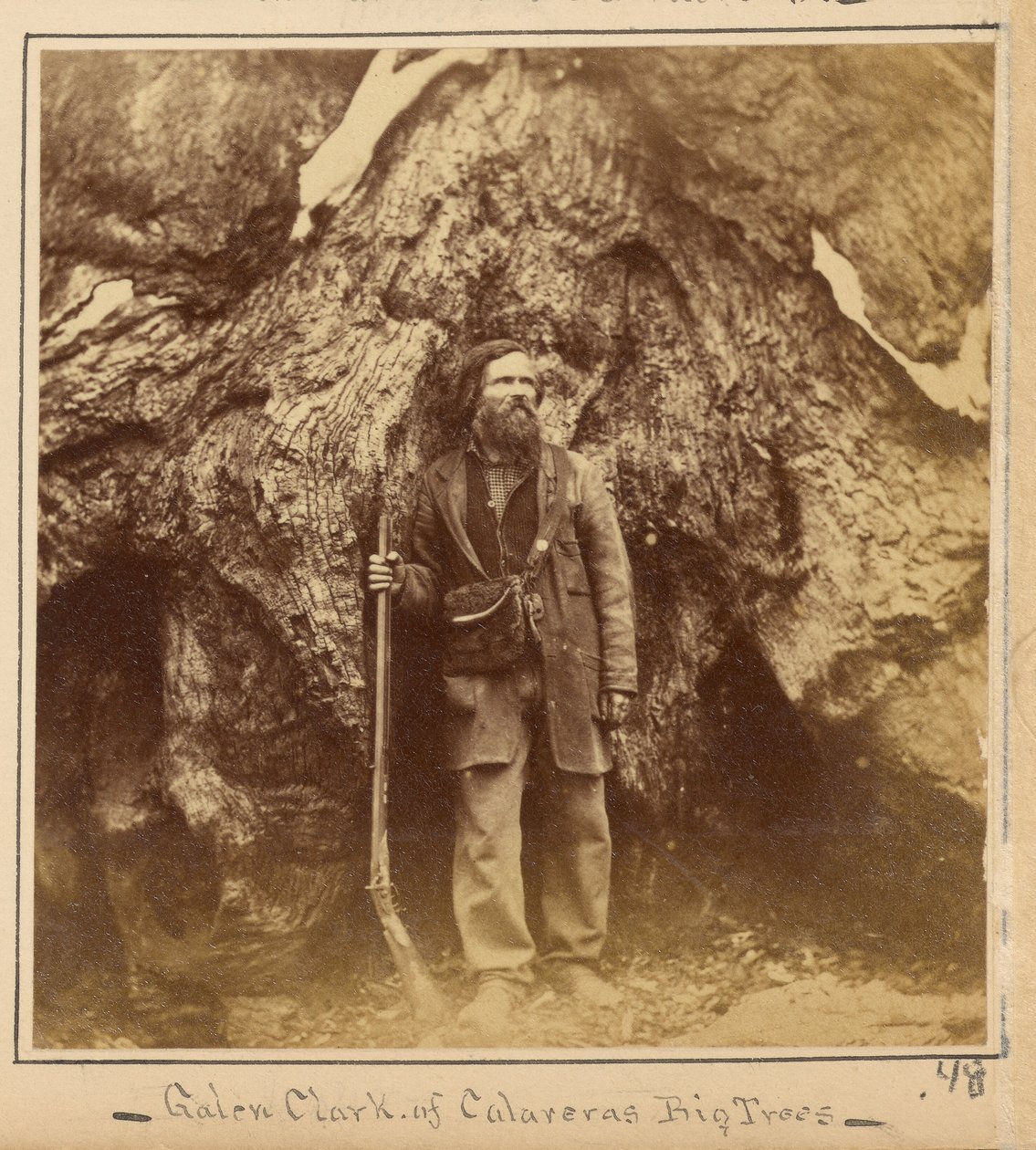 Galen Clark, Esq., Mariposa Grove, Mariposa County, Cal. by Carleton Watkins