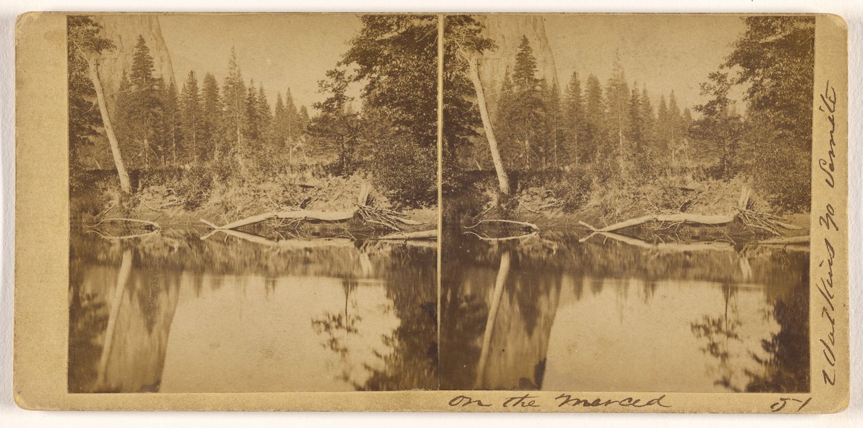 On the Merced by Carleton Watkins