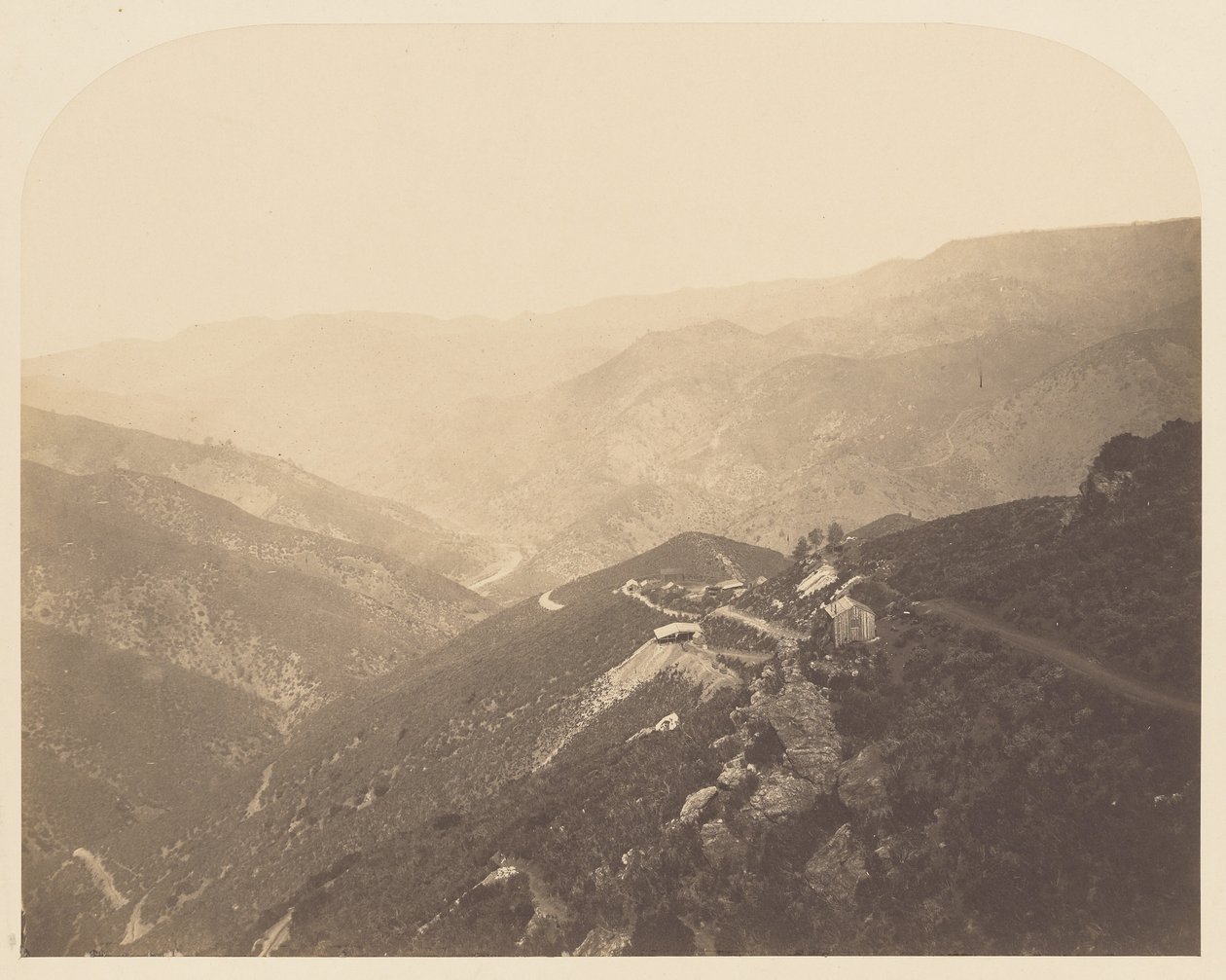 Pine Tree Mine by Carleton Watkins