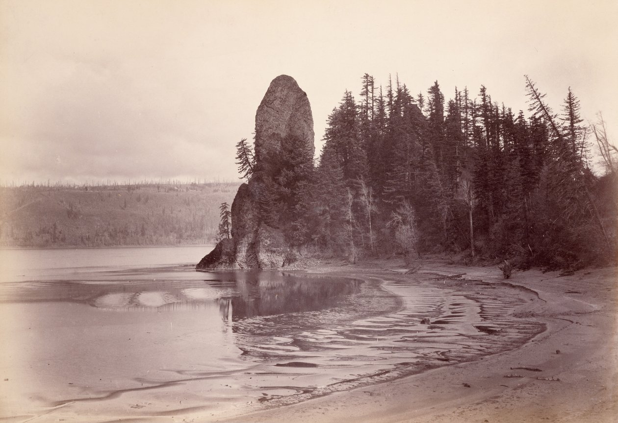 Rooster Rock - Columbia River by Carleton Watkins