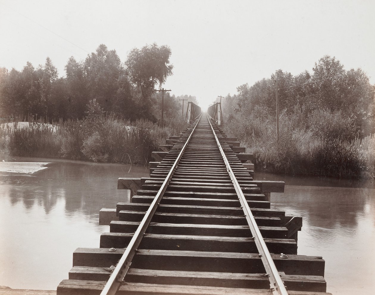 The Calloway Canal by Carleton Watkins