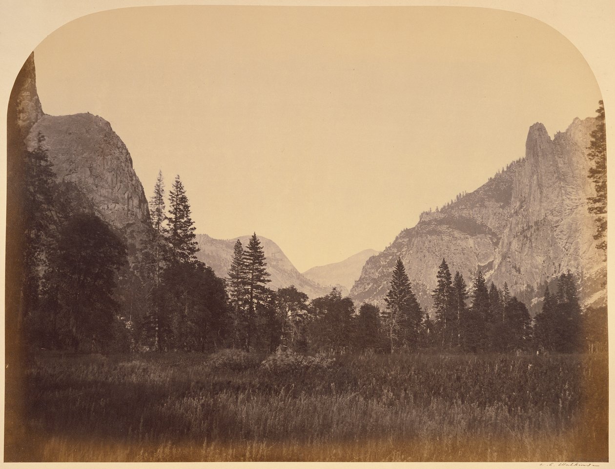 Up the Valley - Yosemite by Carleton Watkins