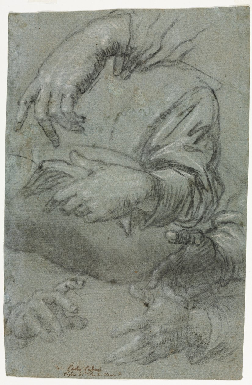 Studies of Hands (detail) by Carletto Caliari