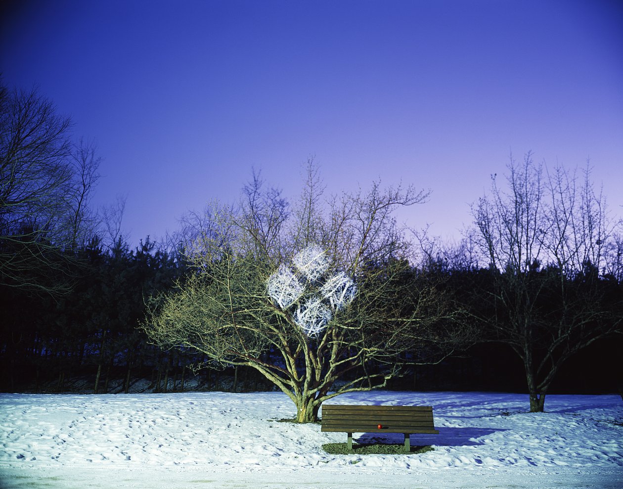 Painting in the Dark, 2012 by Carli Choi