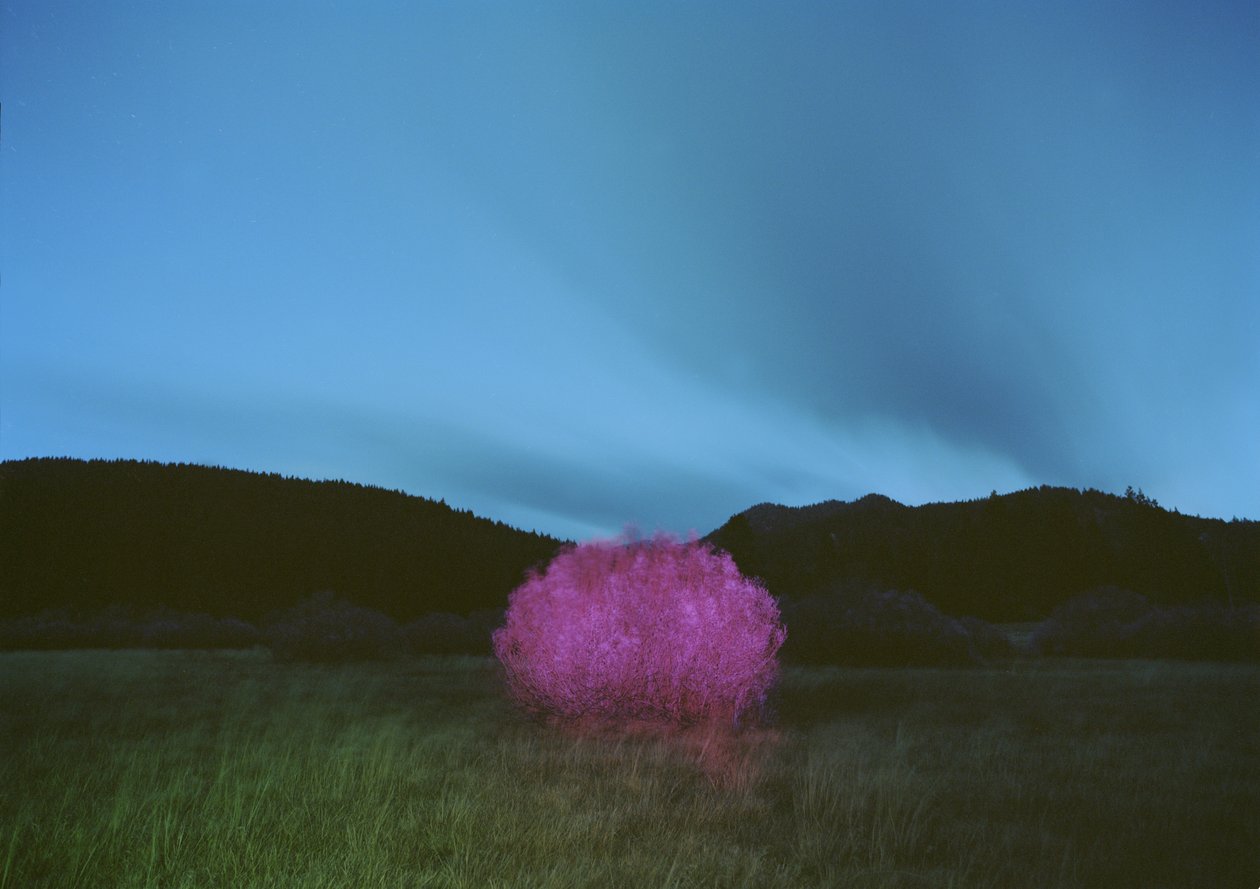 Painting in the Dark, 2015 by Carli Choi