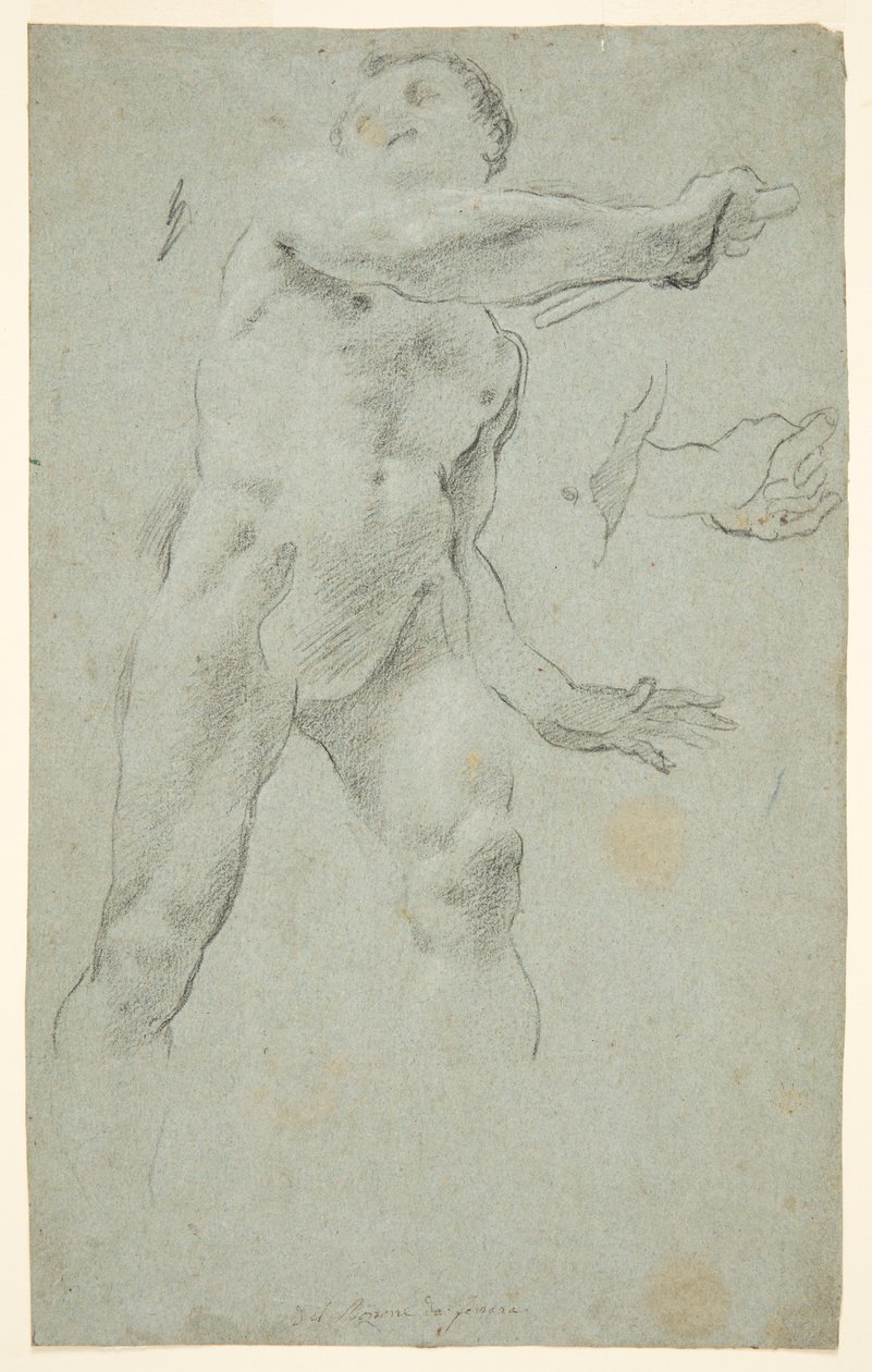 Male Nude by Carlo Bononi Highest quality art reproduction