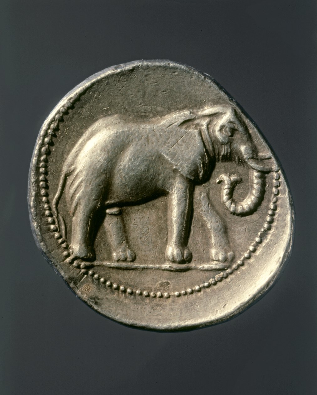 Hannibal Barca: Gold Coin Showing the Elephant of Hannibal
