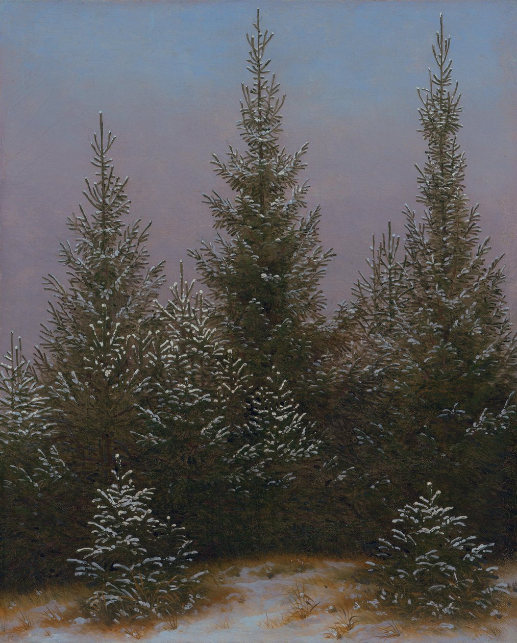 Spruce Thicket in the Snow (From the Dresden Heath I) by Caspar David Friedrich