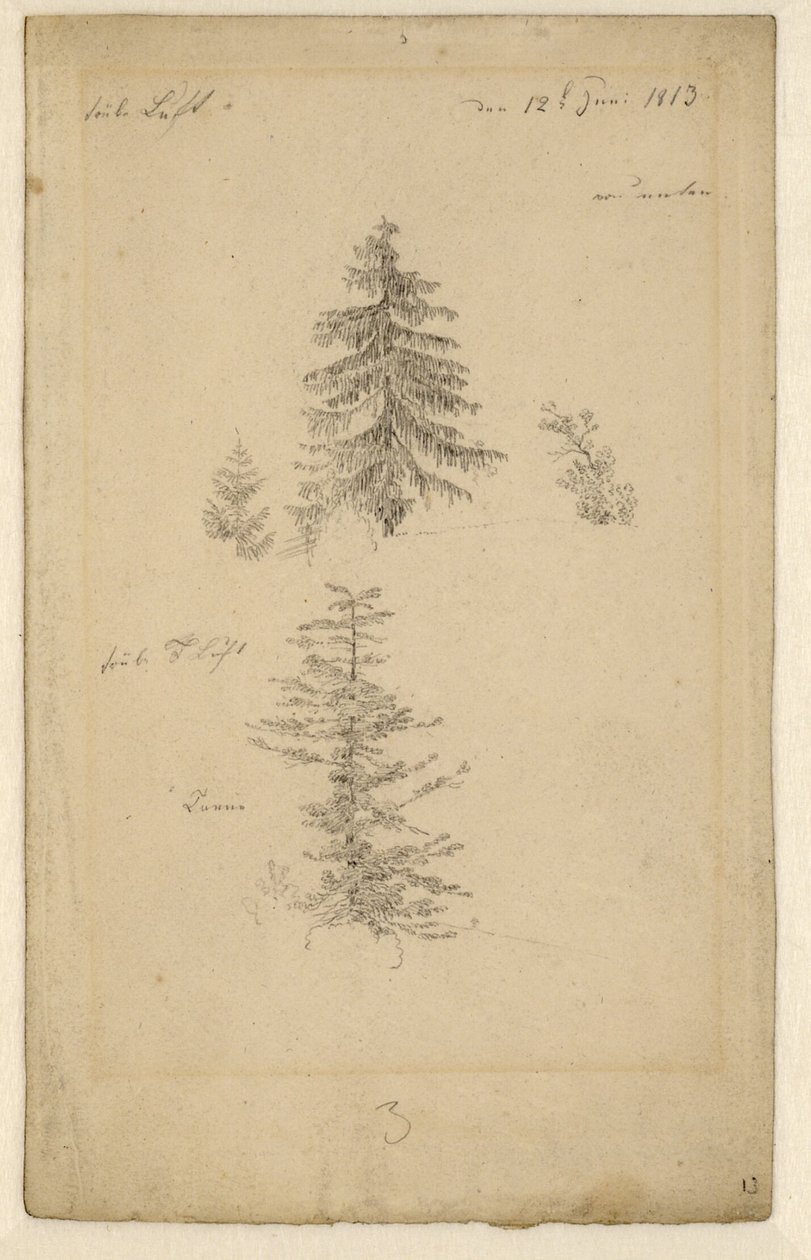 Two Studies of Fir Trees by Caspar David Friedrich
