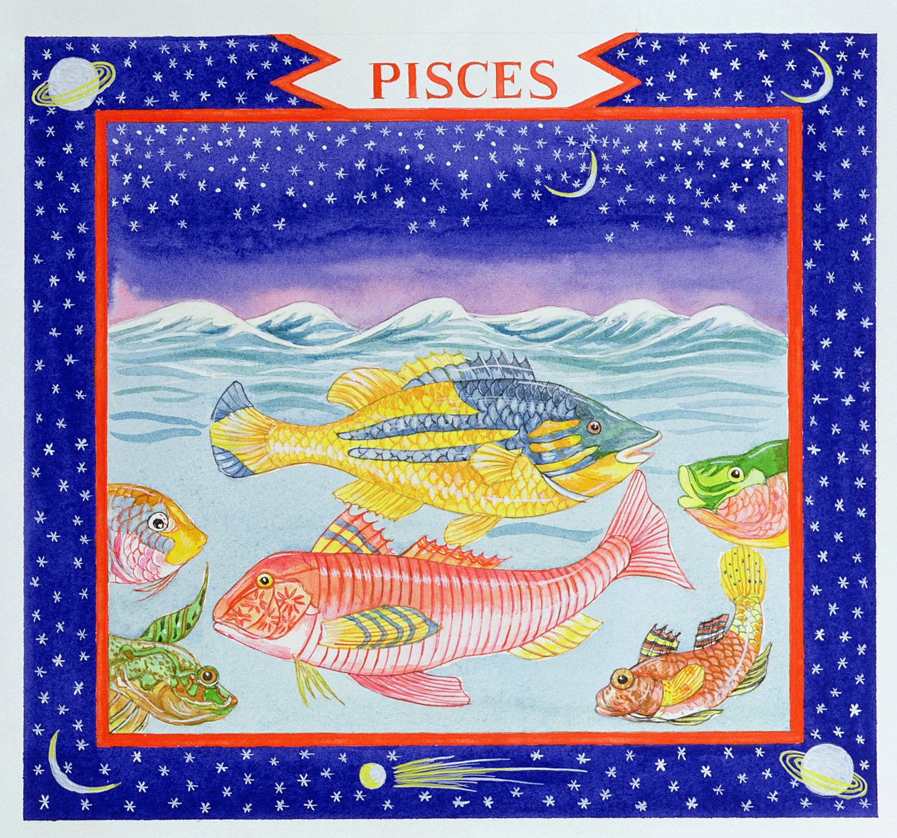 Pisces by Catherine Bradbury