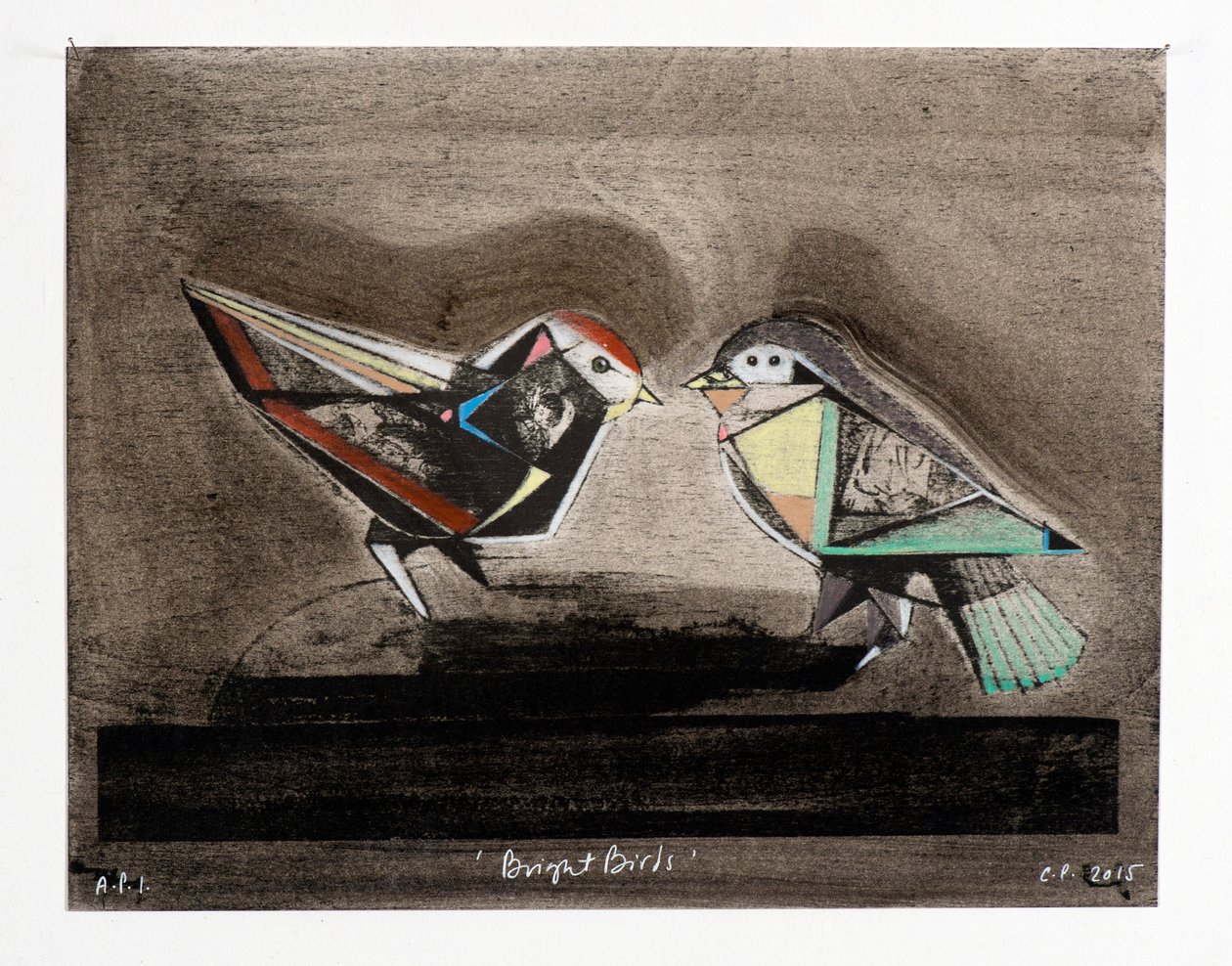 Bright Birds by Cathie Pilkington