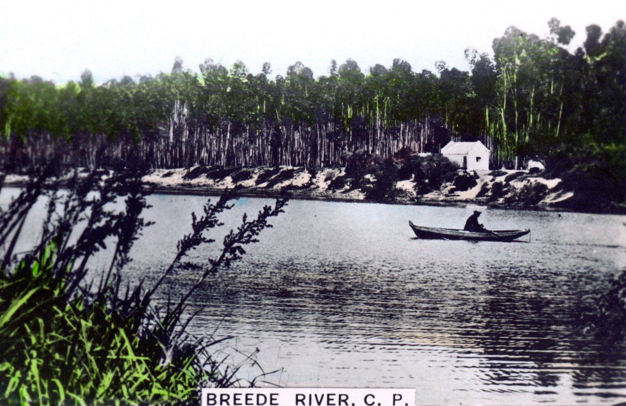 Breede Breë River, West Province, South Africa, c1920s by Cavenders Ltd
