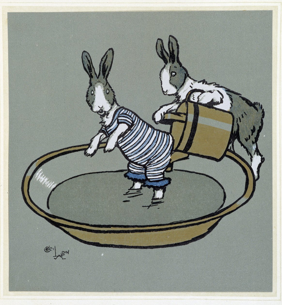 Rabbits Taking a Bath - in 
