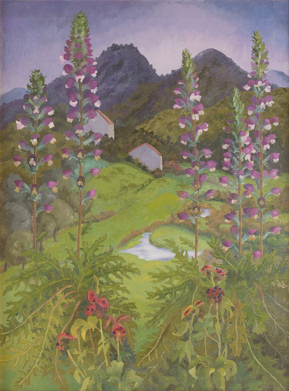 Acanthus by Cedric Morris