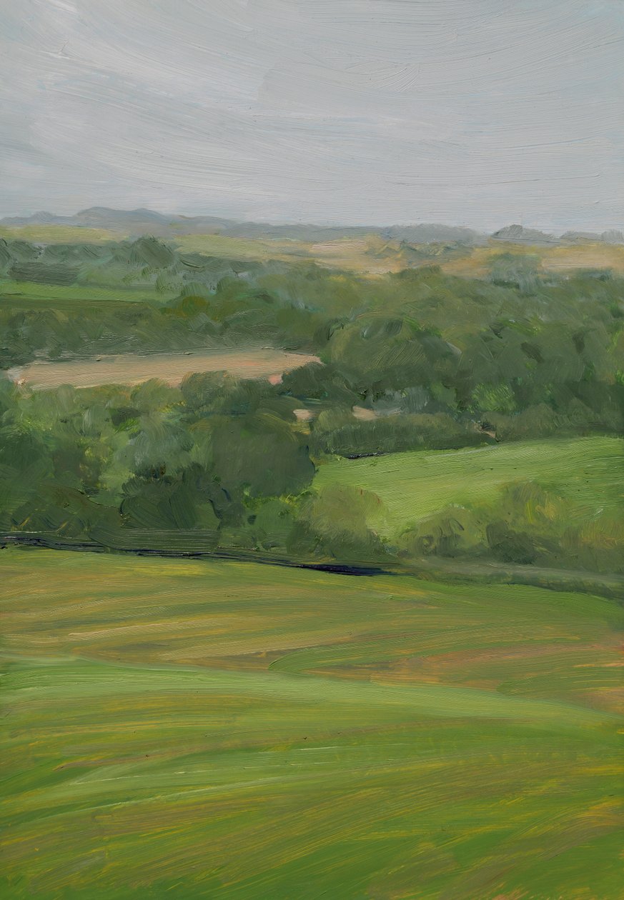 Rain, Cornbury Park, Cotswolds by Celia Montague