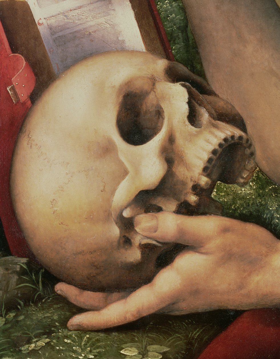 St. Jerome (detail) by Cesare da Sesto