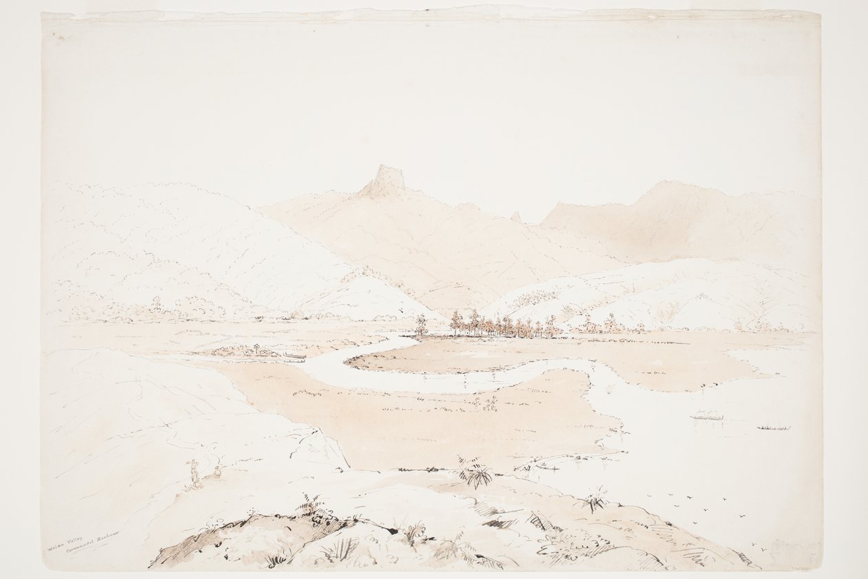 Waiau Valley, Coromandel Harbour by Charles Heaphy