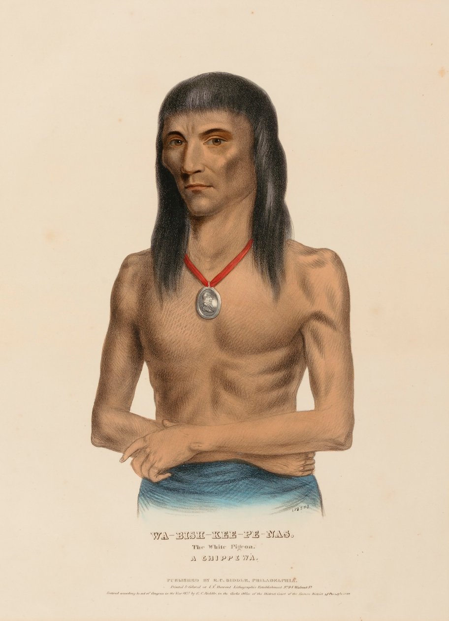 WA-BISH-KEE-PE-NAS. The White Pigeon. A CHIPPEWA, from History of the Indian Tribes of North America by Charles Bird King