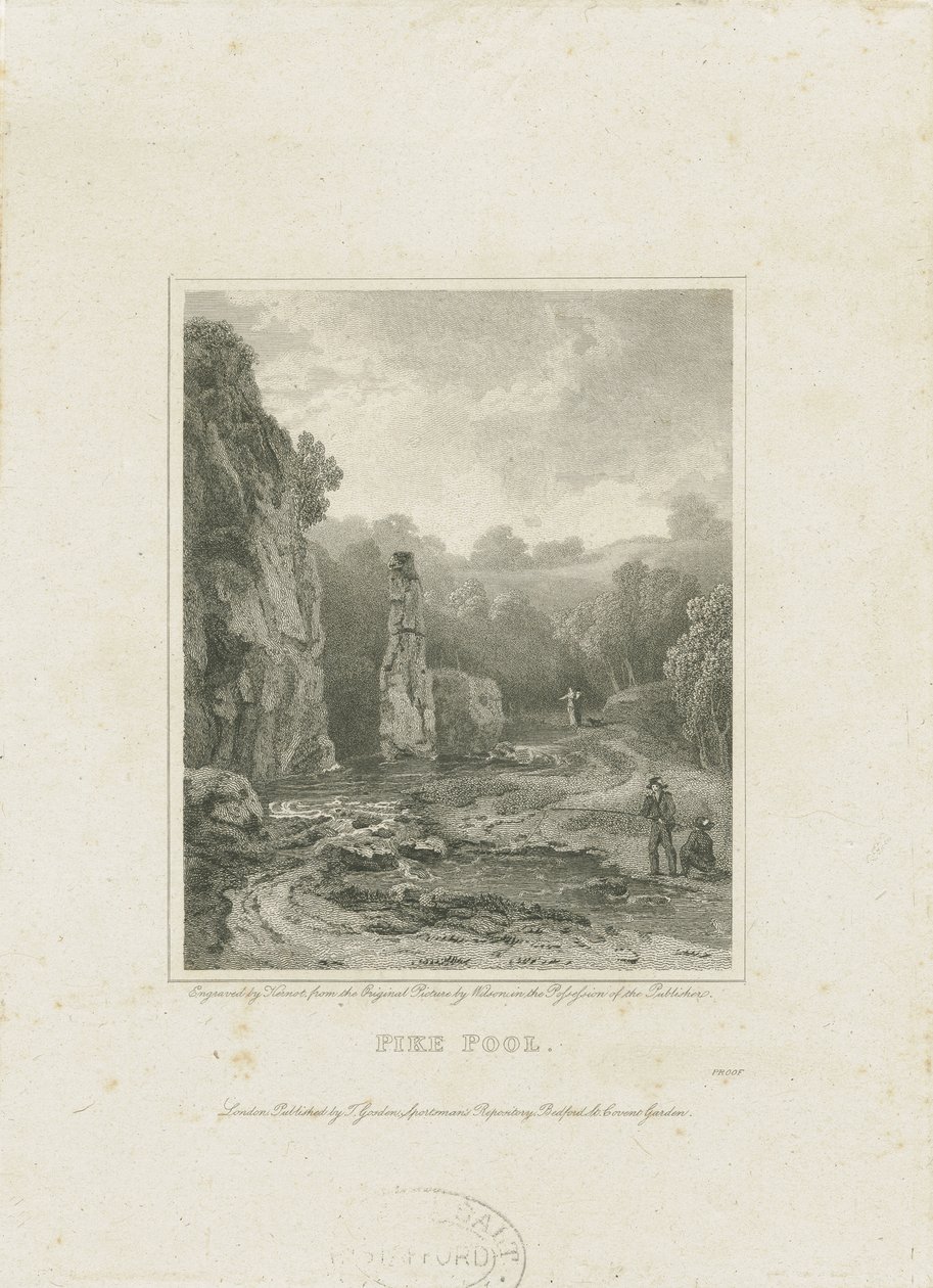Dovedale - Cotton
