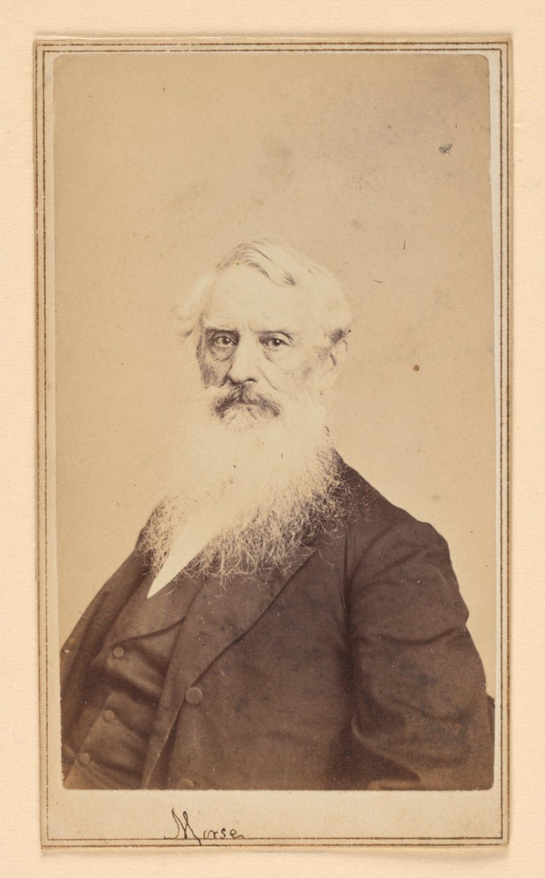 Samuel F. B. Morse by Charles DeForest Fredricks