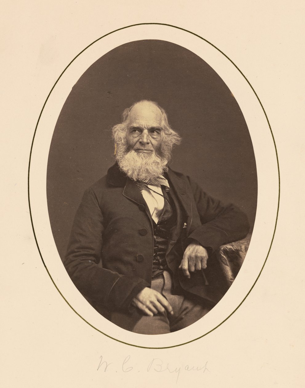 William Cullen Bryant by Charles DeForest Fredricks