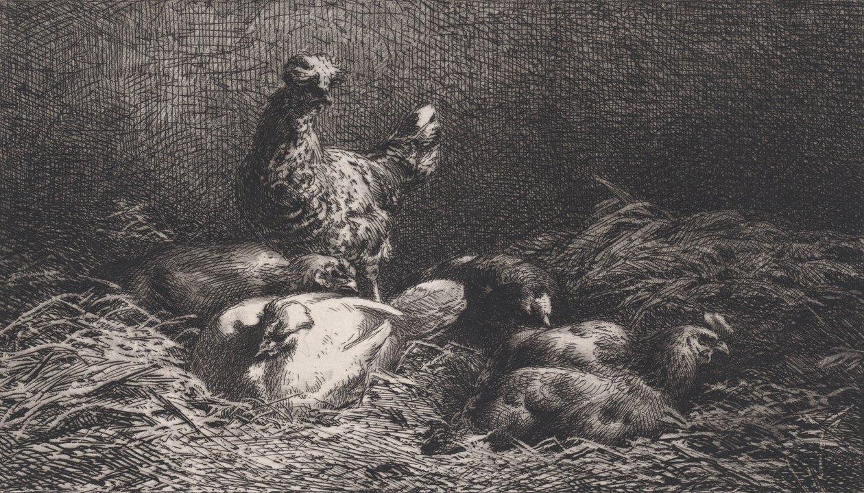 Poules by Charles Emile Jacque: Premium art reproduction