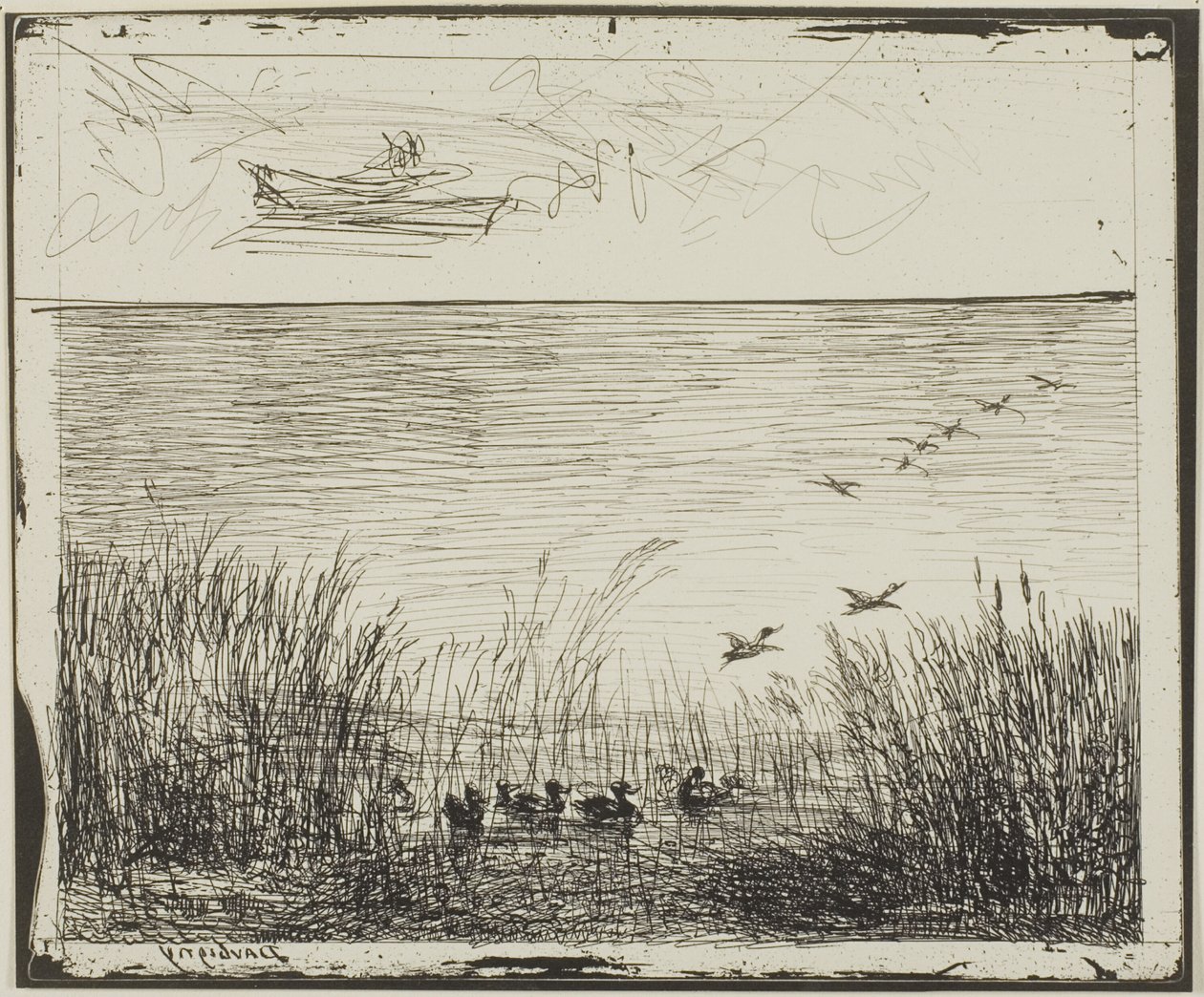 Marsh with Ducks by Charles Francois Daubigny