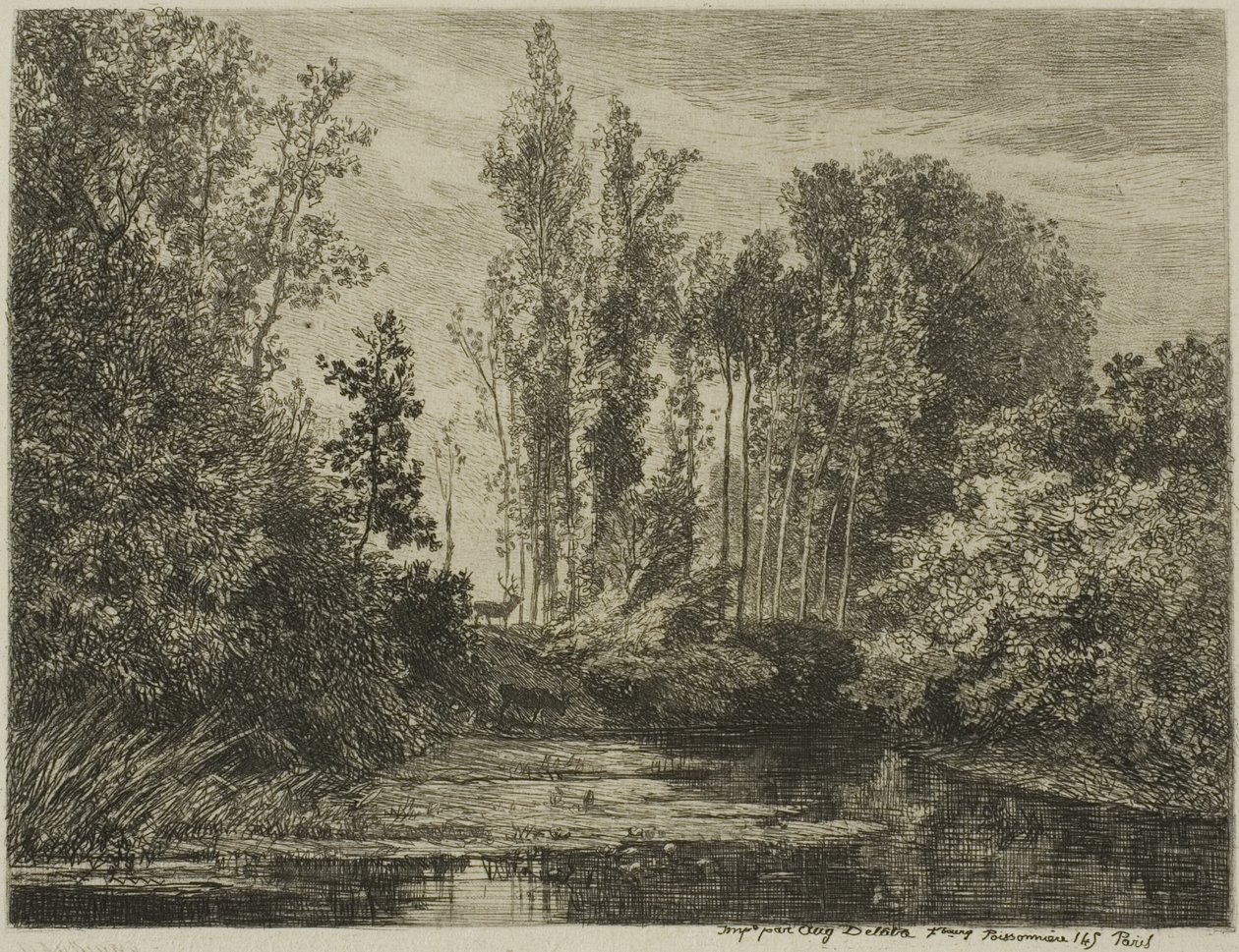 Stags at the Water