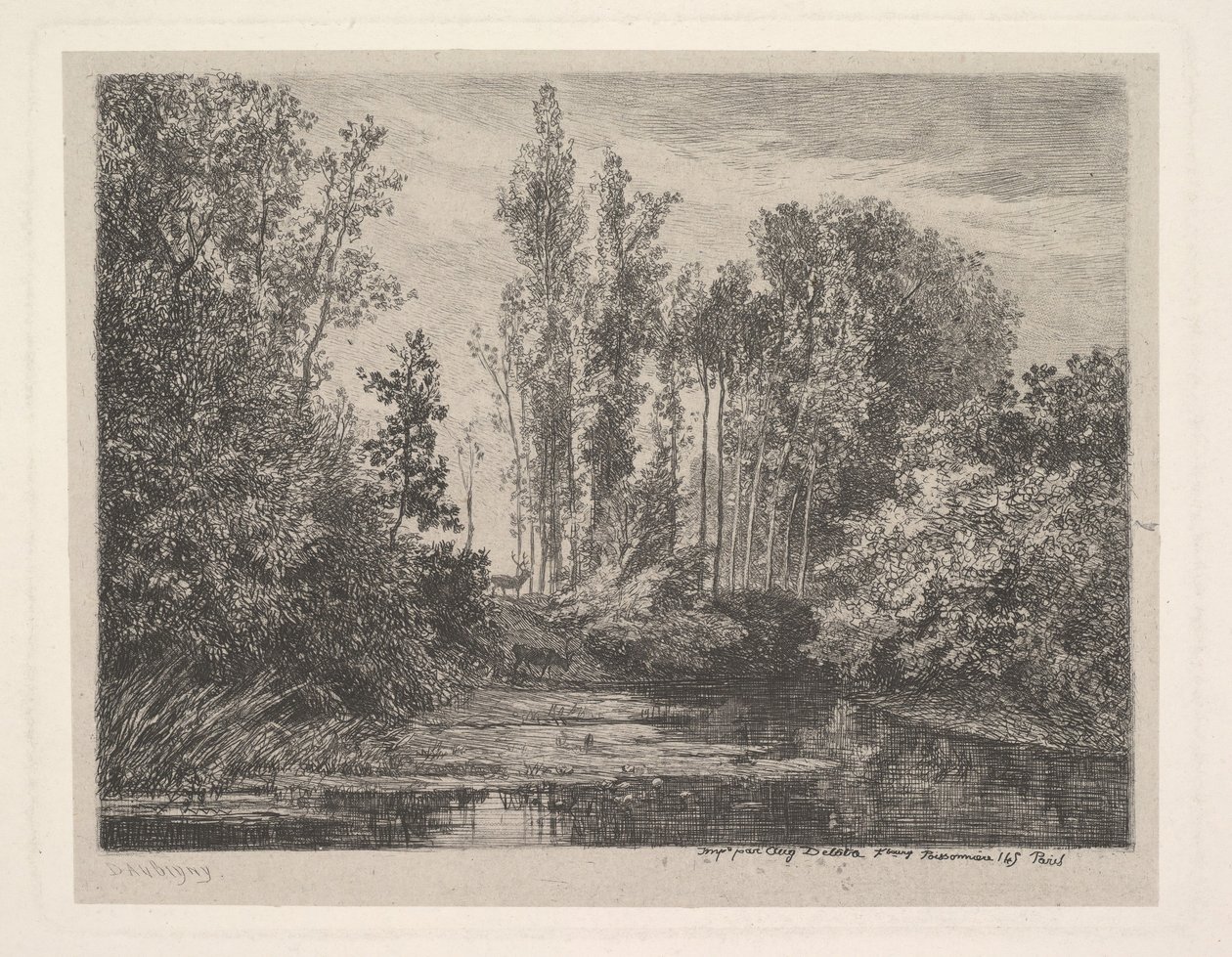 Stags at the Water