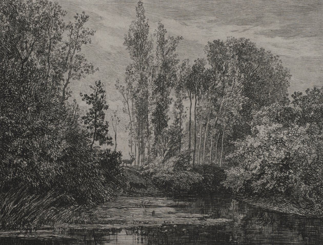 Stags at the waters edge, 1850 by Charles Francois Daubigny
