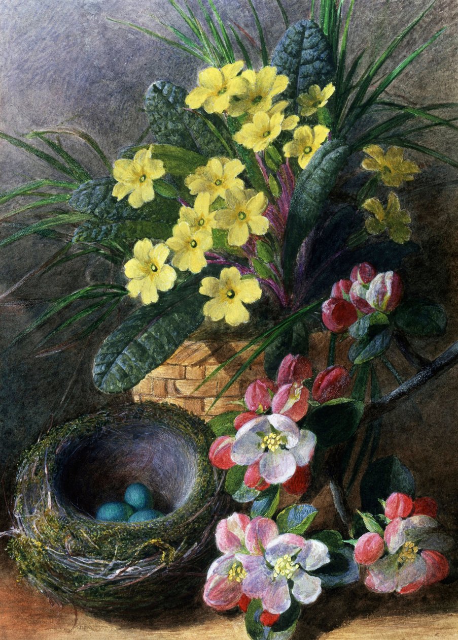 Apple Blossoms and Primroses. Still Life with a Nest and Flowers by Charles H. Slater