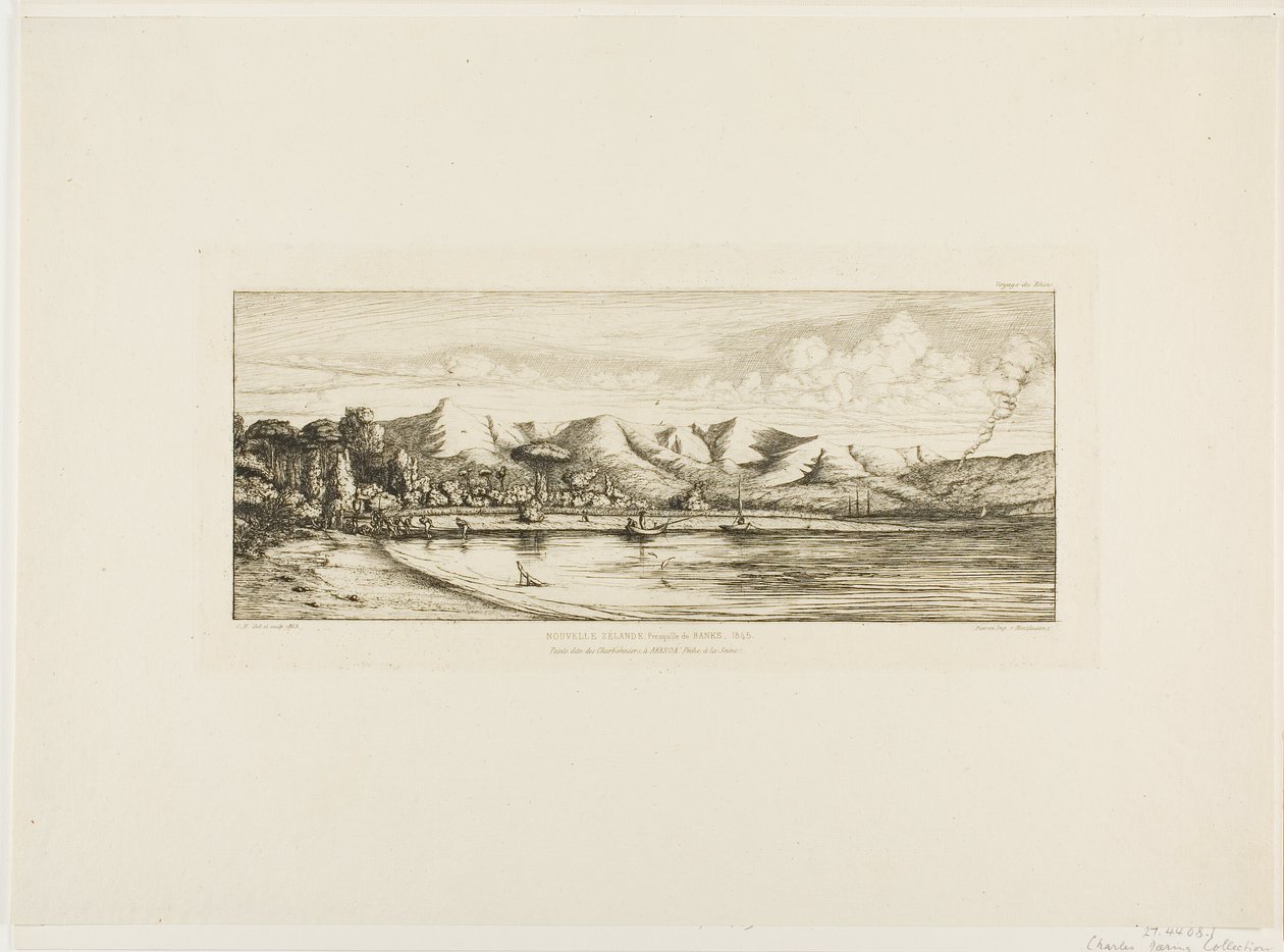Seine Fishing off Collier