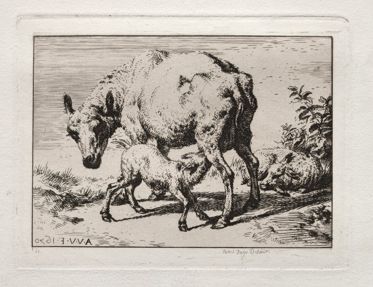 The Ewe with Two Lambs by Charles Meryon