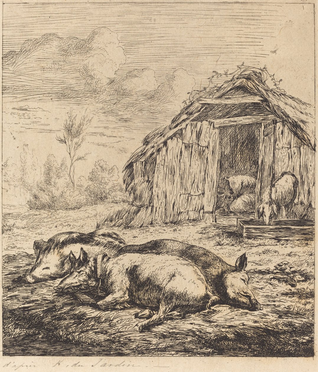 Three Swine Lying In Front of a Sty by Charles Meryon after Karel Dujardin
