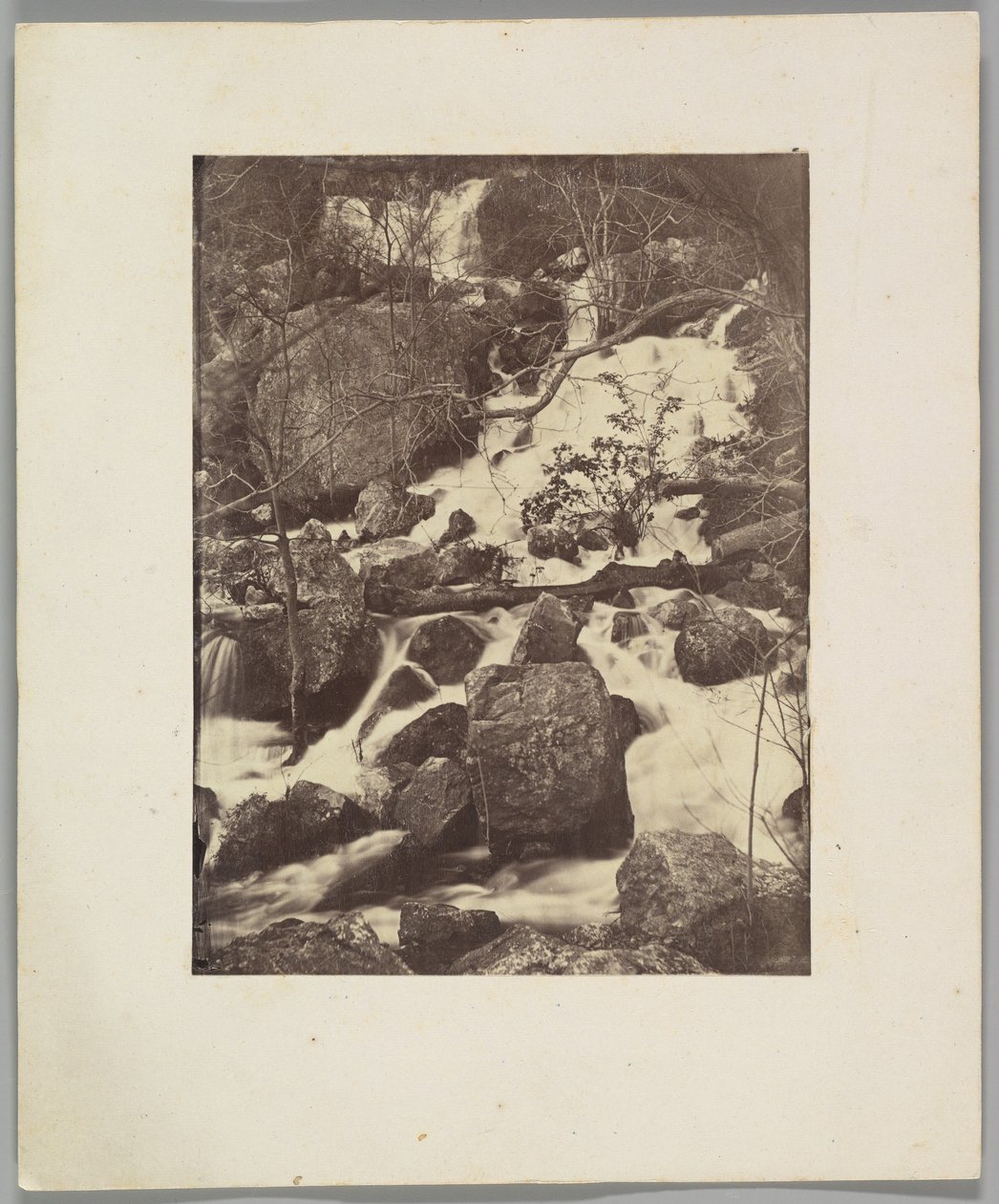 Trees and Waterfalls by Charles Nègre