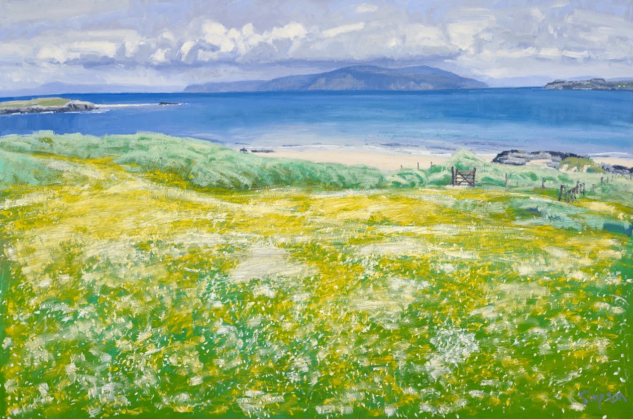 Machair, North End Iona, 2015 by Charles Simpson