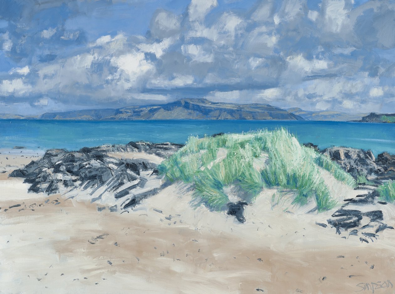 Rocks & Grasses, Iona, 2013 by Charles Simpson