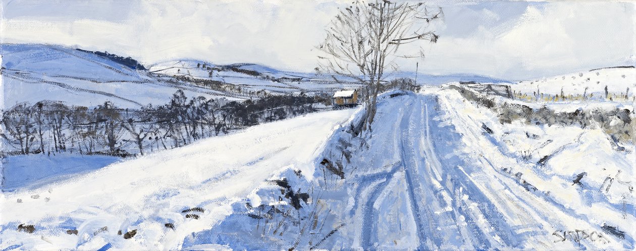 Winter Valley, 2011 by Charles Simpson