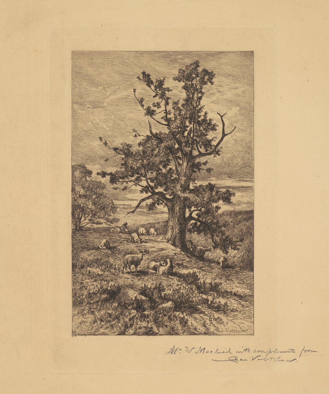 Landscape with Sheep by Charles Volkmar