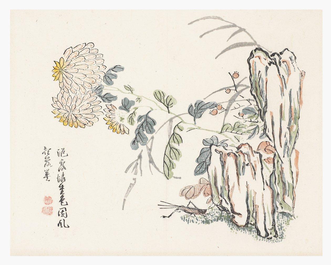 Chrysanthemum, Mustard Seed Garden Manual by Cheng An (after)