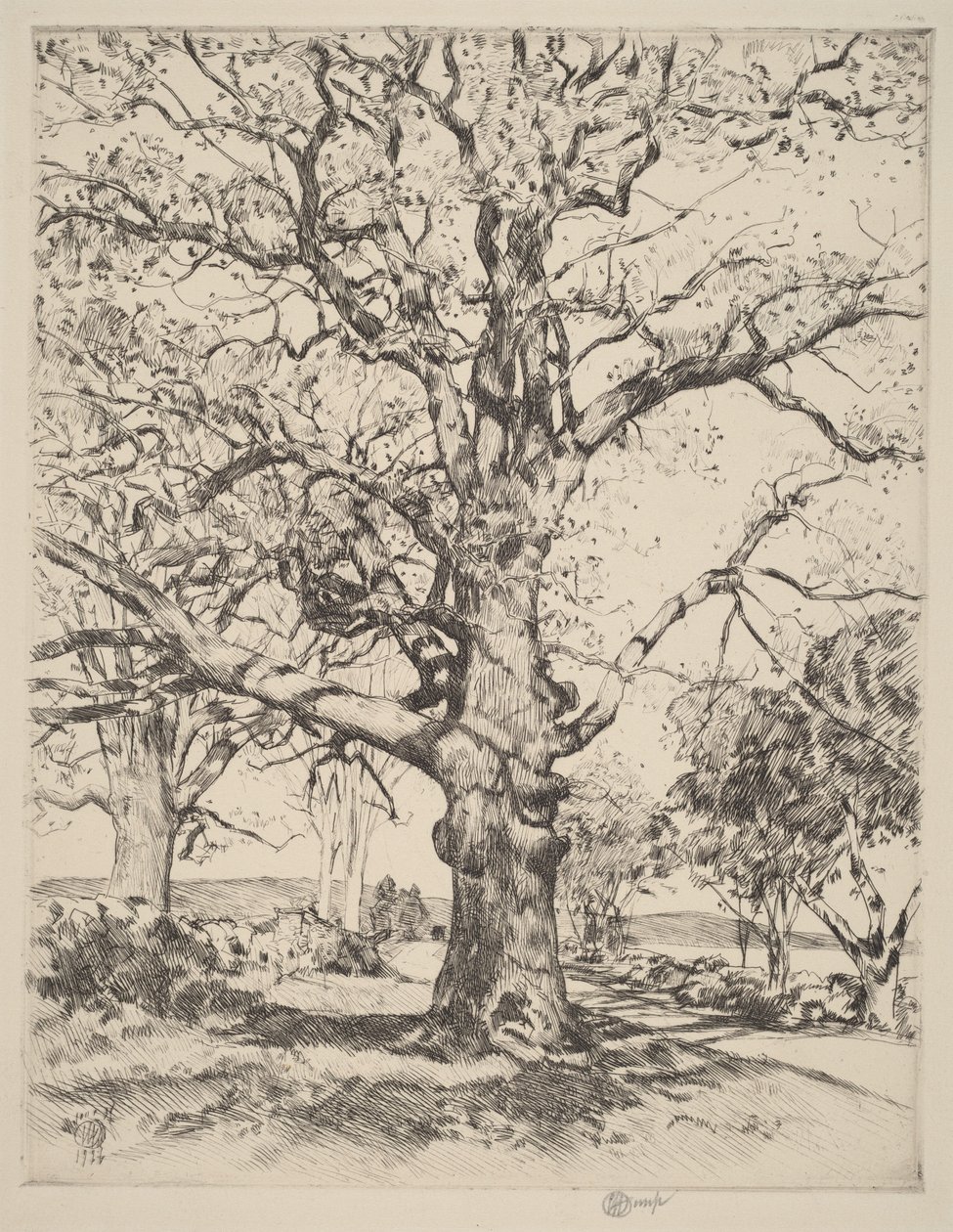 Wayside Inn—Oaks in Spring by Childe Hassam
