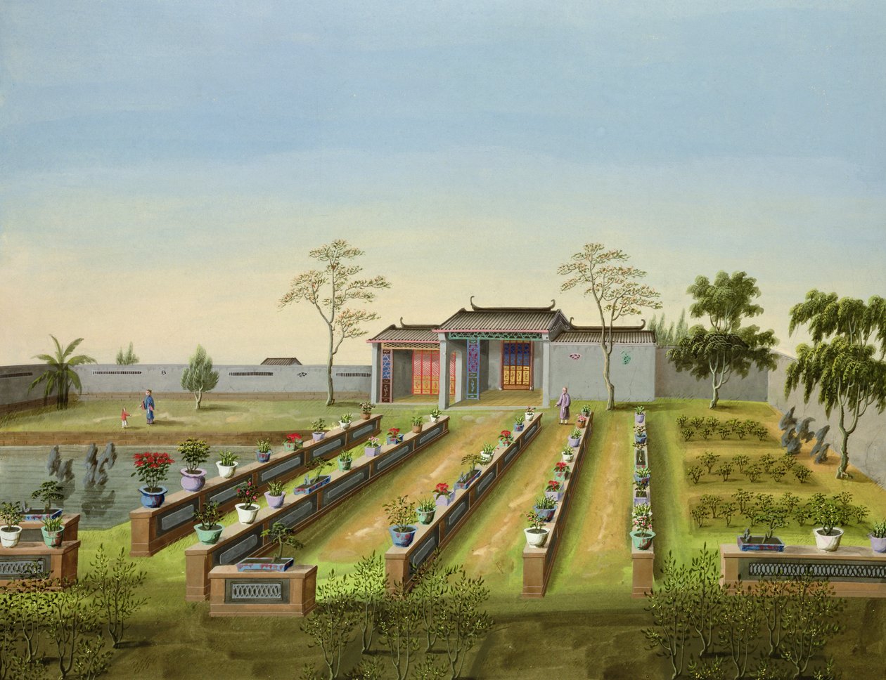 Nursery Garden, c.1820-40 by Chinese School