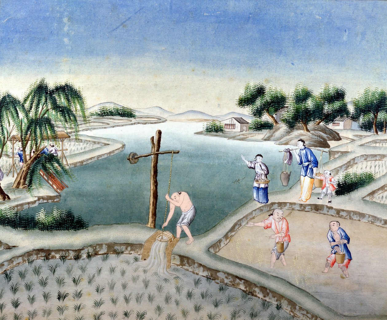 Rice Fields by Chinese School: Premium art reproduction