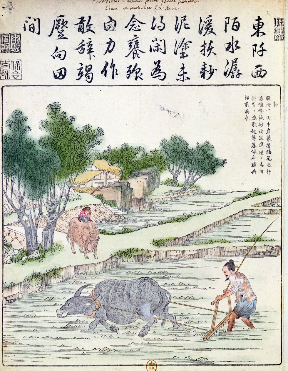 Ancient China Rice Farming Rice Cultivation In China Stock Photo.