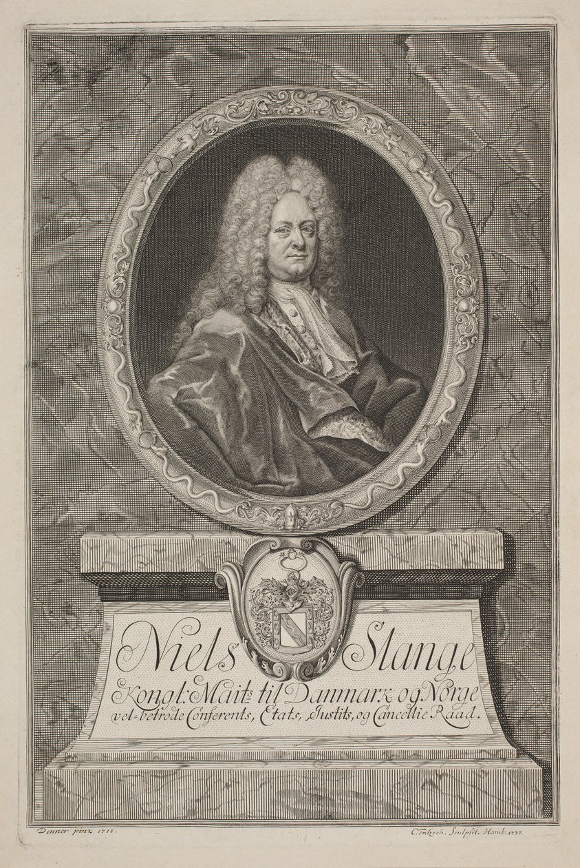 Niels Slange, Historian by Christian D. Fritzsch