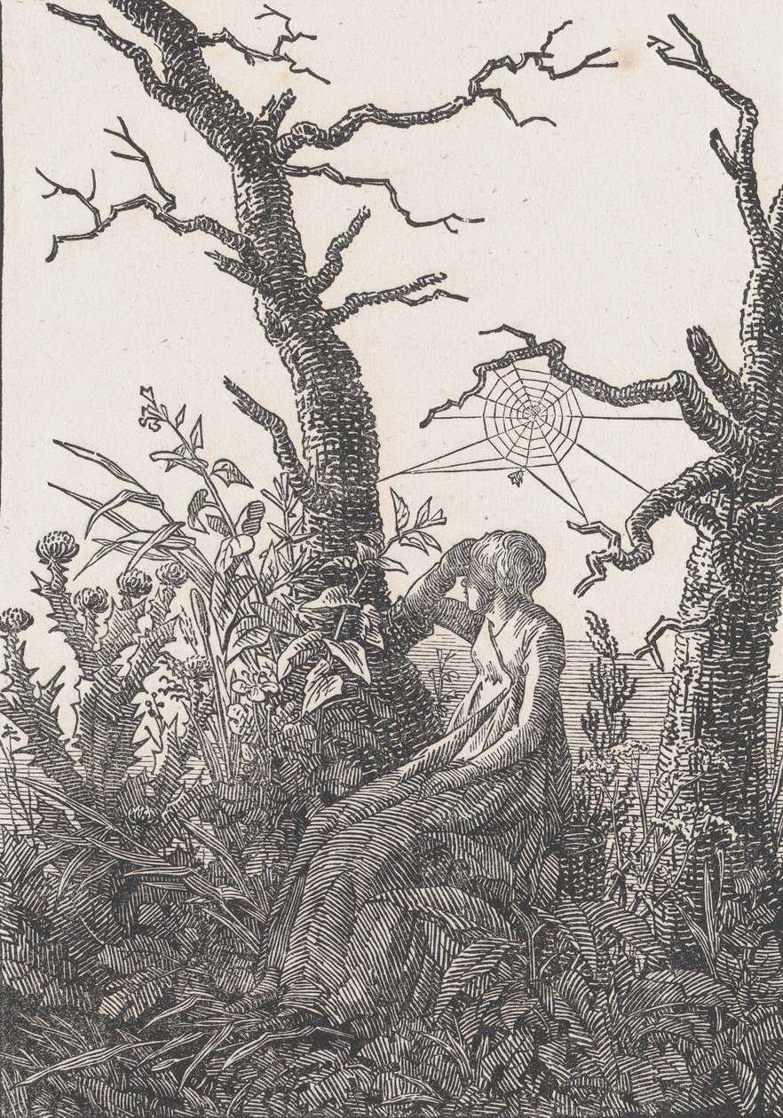Seated Woman with a Spider
