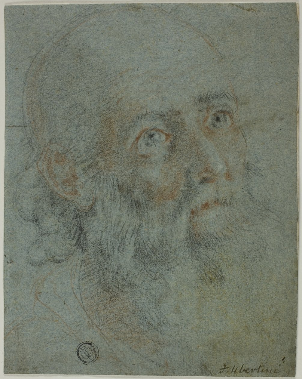Head of a Bearded Man, Looking Up to Right (detail) by Cigoli