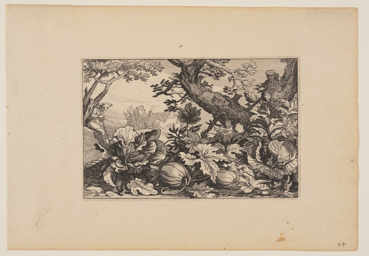 Tree and Melons, from Landscapes by Claes Jansz. Visscher