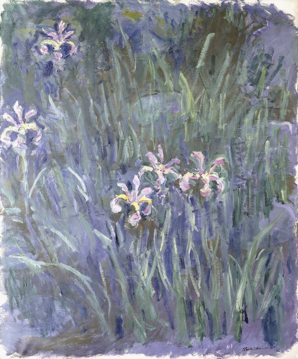 Iris by Claude Monet