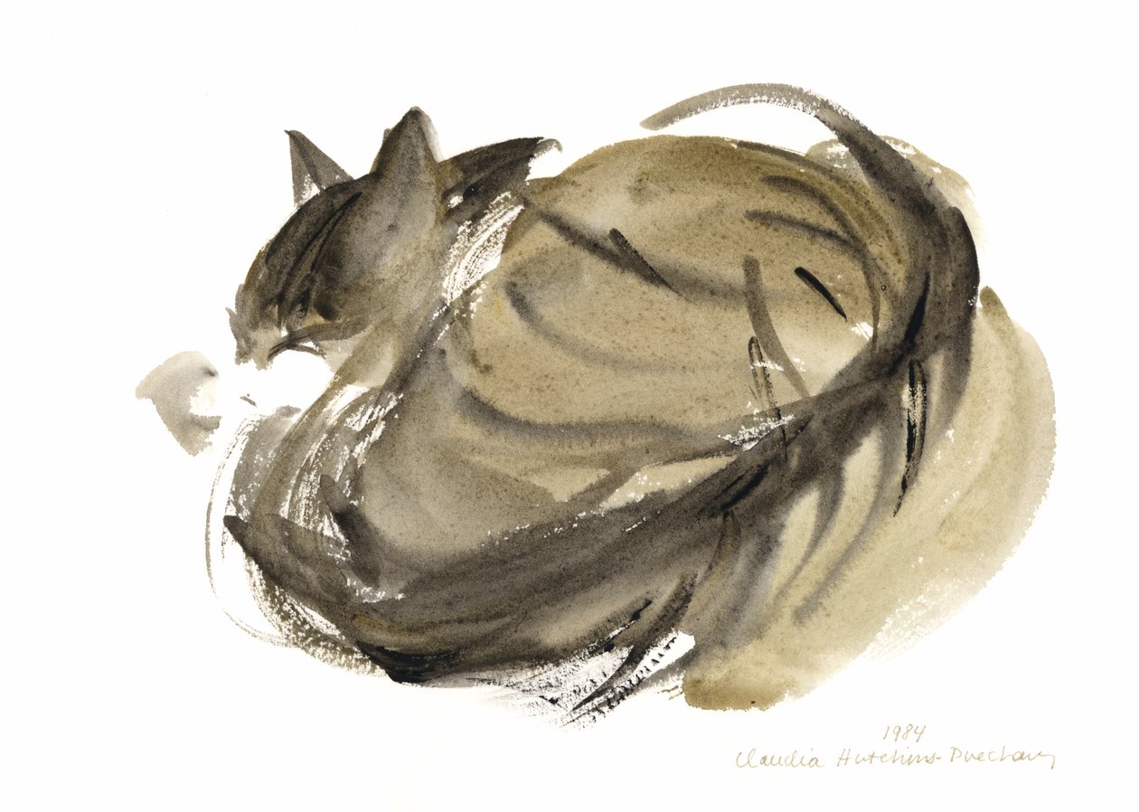 Sleeping cat by Claudia Hutchins Puechavy